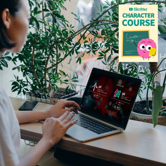 [DIGITAL] The Ultimate Chinese Character Course (Video Course)